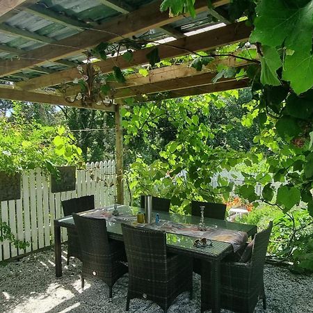 Pheasant Lodge Paparoa Dış mekan fotoğraf