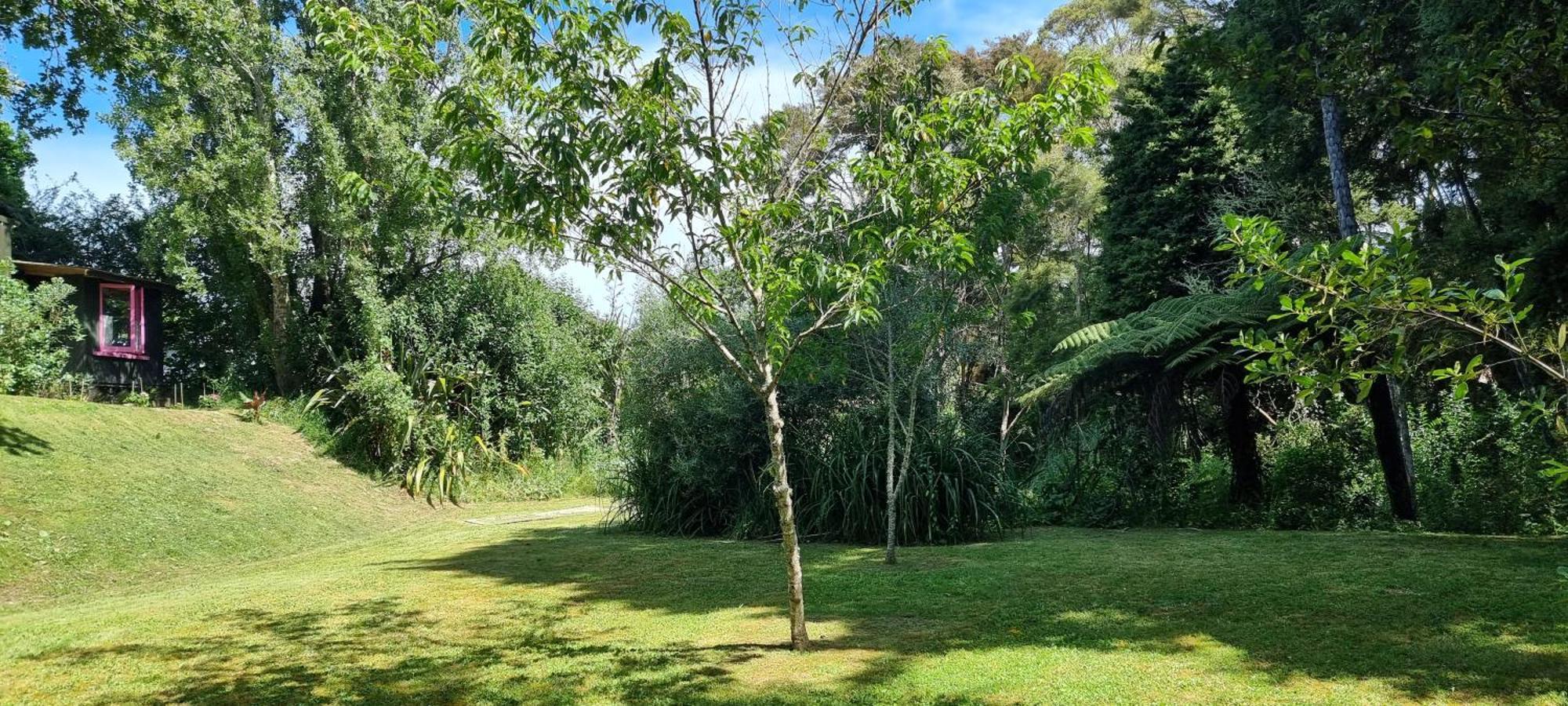 Pheasant Lodge Paparoa Dış mekan fotoğraf